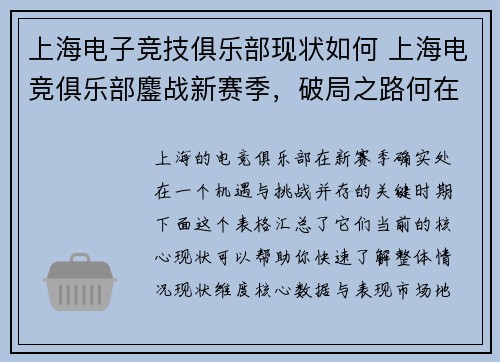 上海电子竞技俱乐部现状如何 上海电竞俱乐部鏖战新赛季，破局之路何在？